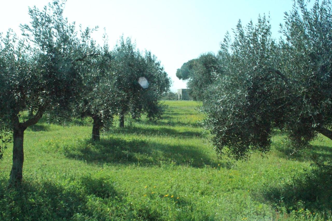 Piccolo Ulivo B&B Salento Vernole Eksteriør billede